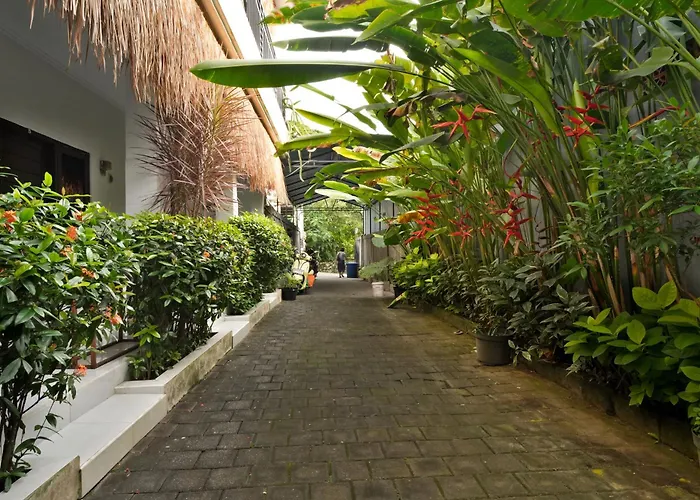 Dude Surf House *